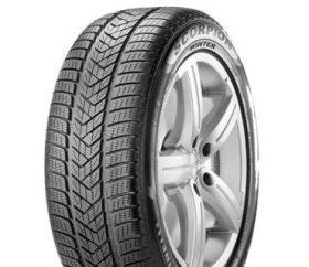 Scorpion (Winter NCS)