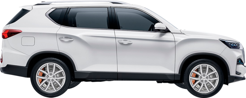 SSANG YONG