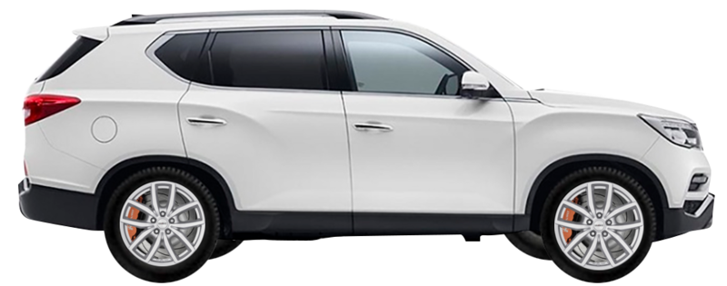 SSANG YONG