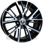 TS-0185 BMFBlackVernich