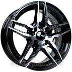 TS-50041 BMF